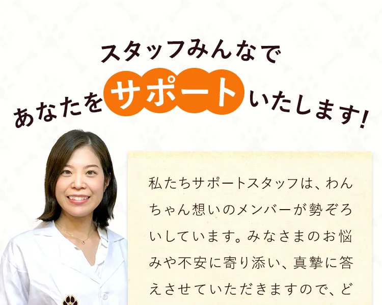 support_01.webp