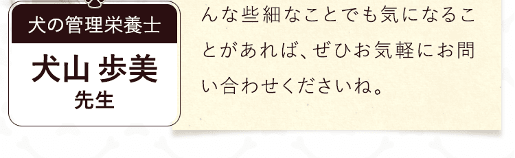 support_02.png